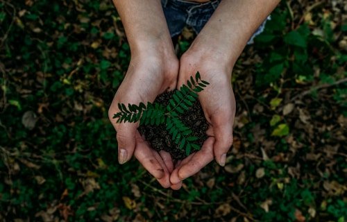 Sustainable Cosmetic Packaging: A Complete Guide for Brands